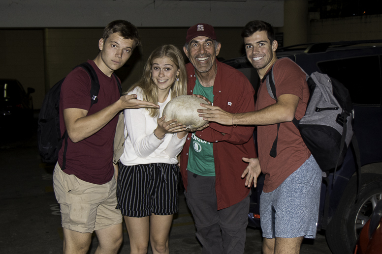 giant puffball